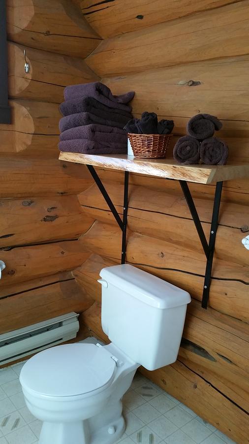 Twin Peaks Resort Valemount Exterior foto